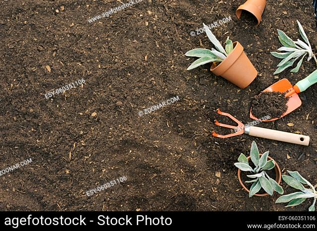 arranged tools gardening soil (1)