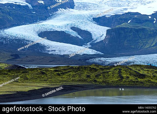 fjallsarlon glacier lake and fjallsjokull glacier, vatnajokull national park, iceland