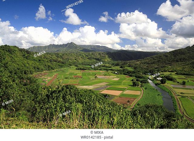 Hanaley Valley, Kauai, Hawaii, U.S.A