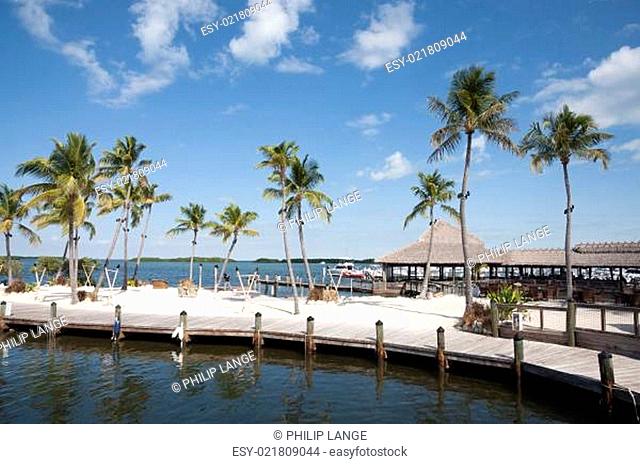 Waterfront walk and Palm Trees on Florida Keys, USA