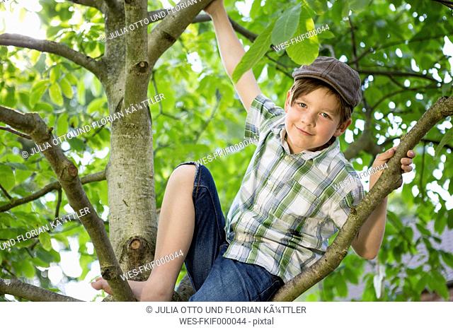 Portrait of little boy climbing in a tree