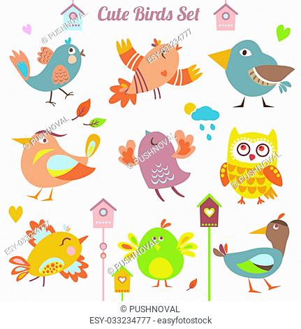 Set of 9 cute birds in vector. Cartoon collection. Funny little bird  family, Stock Photo, Picture And Low Budget Royalty Free Image. Pic.  ESY-033234777 | agefotostock