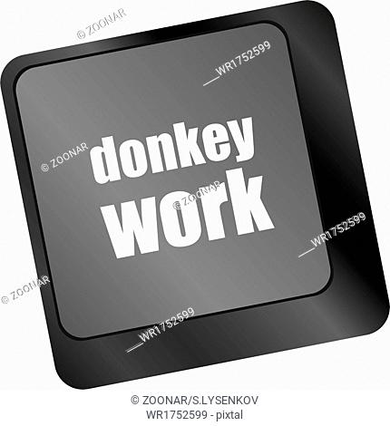 donkey work button on computer keyboard key