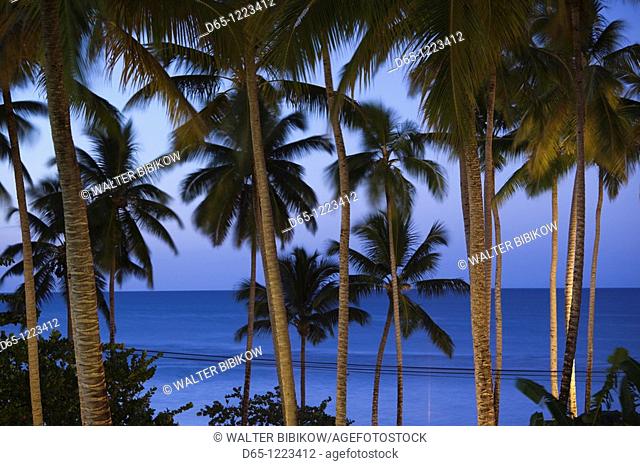 Dominican Republic, Samana Peninsula, Las Terrenas, Playa Las Terrenas, palms, dusk