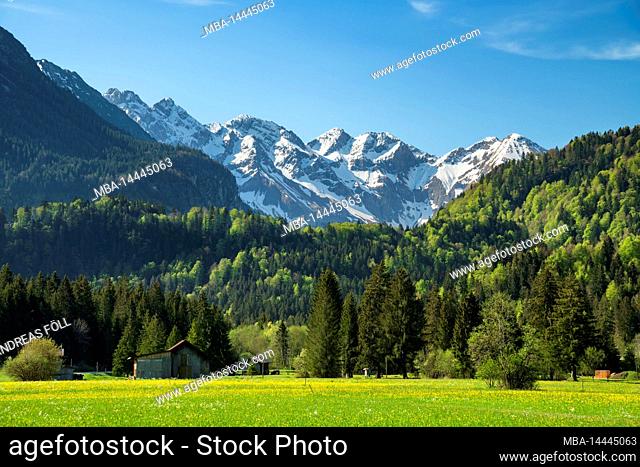 Idyllic mountain landscape near Oberstdorf on a sunny day in spring. Green meadows, forests and snow-capped mountains under blue sky