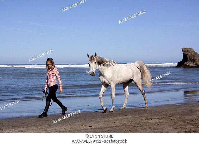 Arabian Horse following rider along beach; Northern California, USA (Released)
