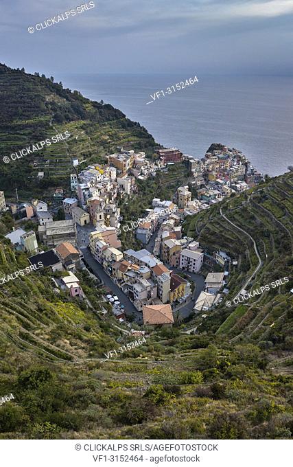 aerial view of Manarola, Cinque Terre, municipality of Riomaggiore, La Spezia province, Liguria, Italy, Europe