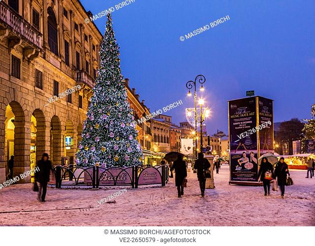 Italy, Veneto, Verona. Piazza Bra (Bra Square), Christmas tree during a snowstorm