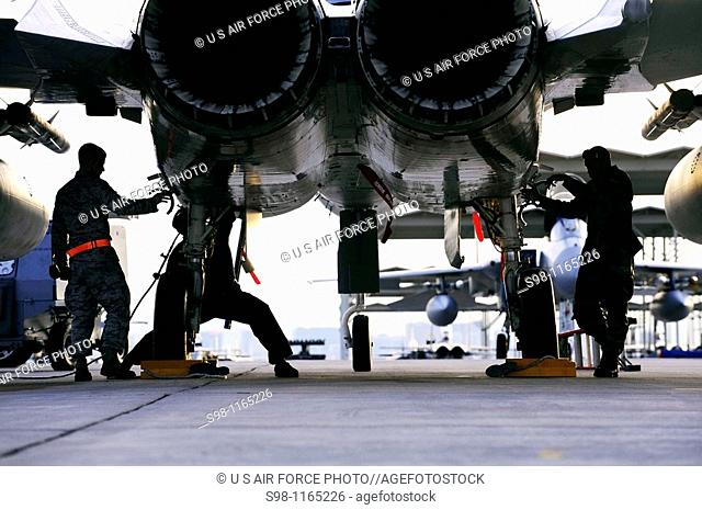 Crew chiefs perform maintenance on an F-15 Eagle Feb  2, 2010, during Red Flag at Nellis Air Force Base, Nev  They are assigned to the 18th Aircraft Maintenance...
