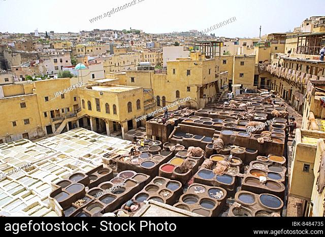Workers dyeing leather, basin with dye, dye works, Tannerie Chouara tannery, tanners and dyers district, Fés el Bali, Fez, Kingdom of Morocco