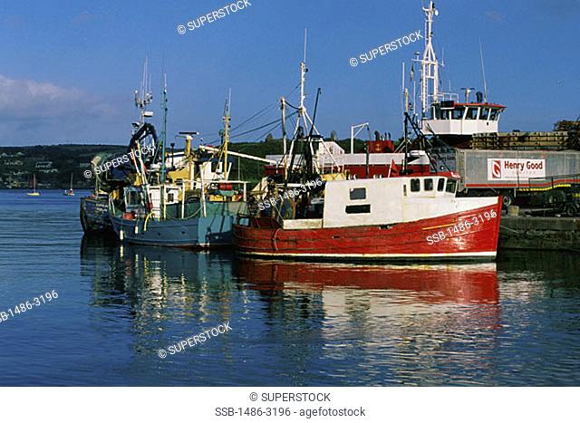Fishing boats moored in a harbor, Kinsale, County Cork, Ireland