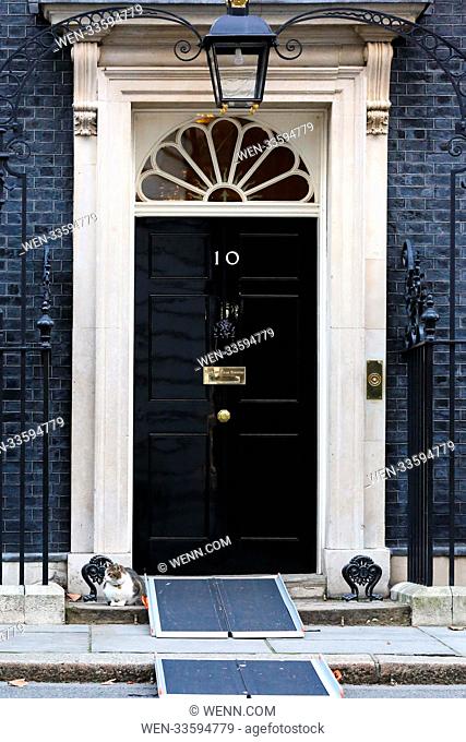Larry, the 10 Downing Street cat and Chief Mouser to the Cabinet Office on the steps of No 10 Downing Street as the wheelchair ramp is in place for a visitor in...