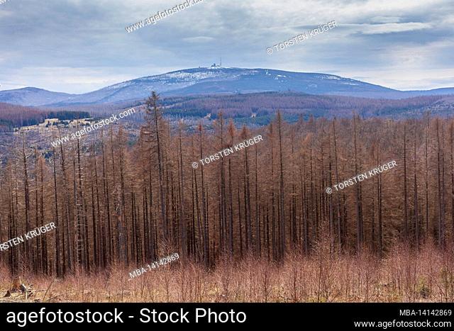 view from the rabenklippe to the brocken in winter, harz, lower saxony, germany, europe
