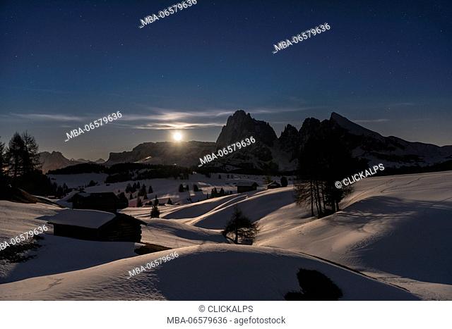 Alpe di Siusi/Seiser Alm, Dolomites, South Tyrol, Italy, Full moon night on the Alpe di Siusi / Seiser Alm with the peaks of Sassolungo / Langkofel and...