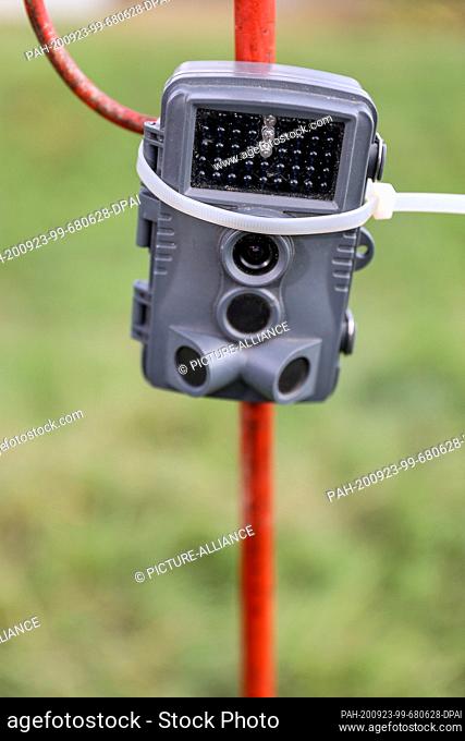 16 September 2020, Thuringia, Schönewerda: A wildlife camera is set up as a photo trap on the banks of the Unstrut. Photo: Jan Woitas/dpa-Zentralbild/ZB