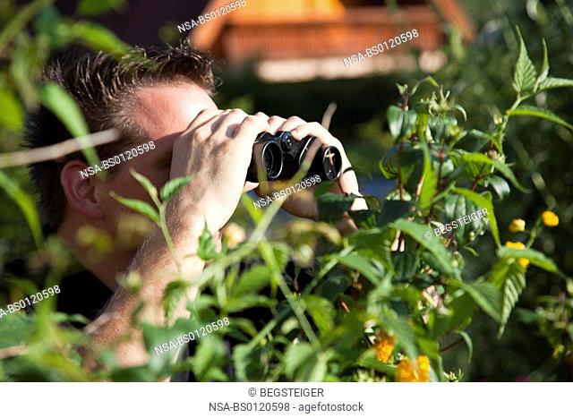 man with spyglas hides behind a hedge