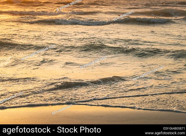 Sea ocean water surface with small waves at sunset. Evening sunlight sunshine above sea. Ocean water foam splashes washing sandy beach