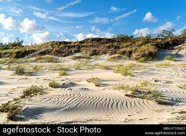 Bornholm, Dueodde, coastal landscape, sand structure