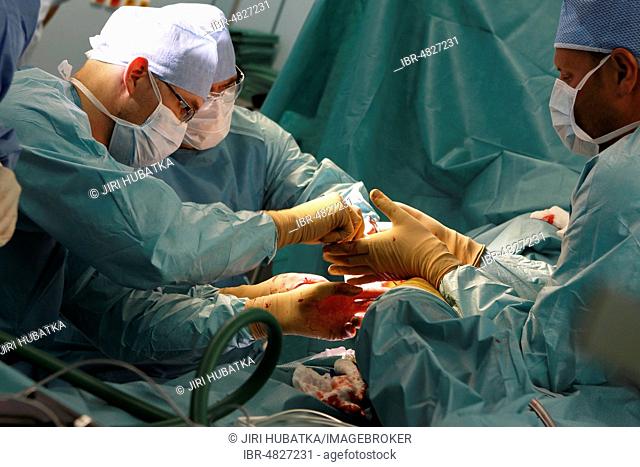 Surgeons during surgery, total hip replacement, surgery department, hospital, Czech Republic