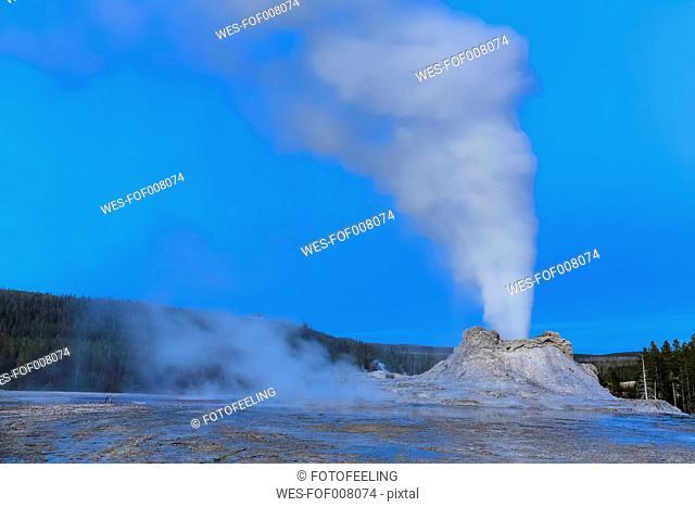 USA, Wyoming, Yellowstone National Park, Upper Geyser Basin, Castle Geyser erupting, blue hour
