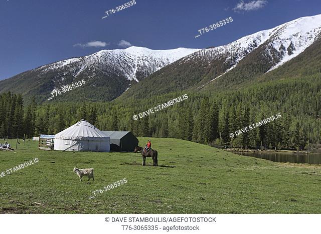 Home on the range; yurts at Kanas Lake National Park, Xinjiang, China
