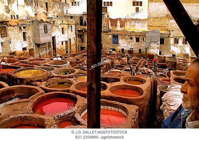 Skin dying at the Chowara tanneries, Fes, Morocco
