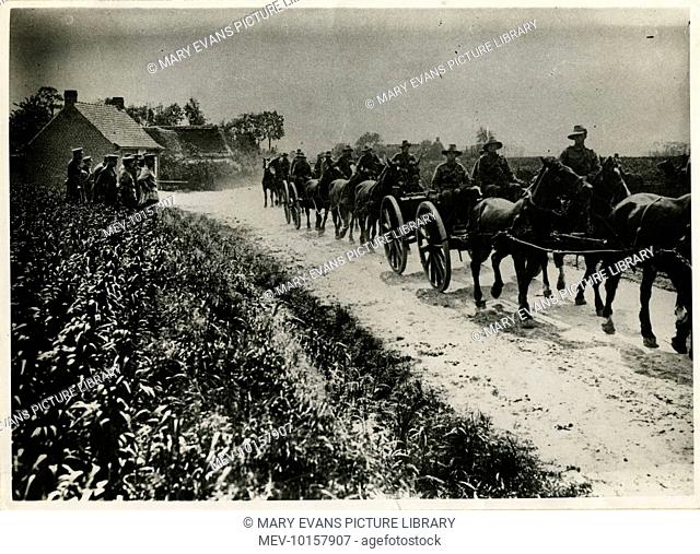 Australian field artillery troops advance to the Western Front with their horses and carts, watched by a group of British soldiers