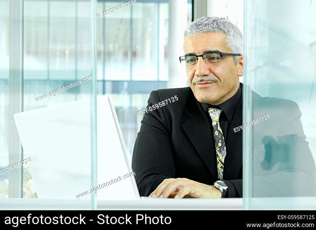 Portrait of mature businessman sitting at desk in modern office, using laptop computer