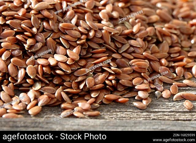 Linum usitatissimum, Lein, flax, Samen, seeds