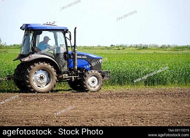 RUSSIA, ZAPOROZHYE REGION - MAY 16, 2023: A man drives a tractor in a winter wheat field of the Vysokopolye state enterprise in the Melitopol District