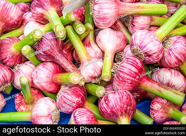 Fresh garlic for sale on a market