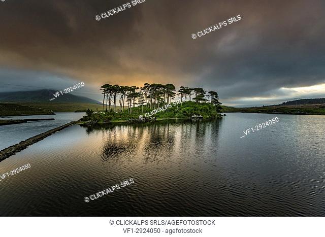 Pine Island on Derryclare Lake. Connemara, Co. Galway, Connacht province, Ireland