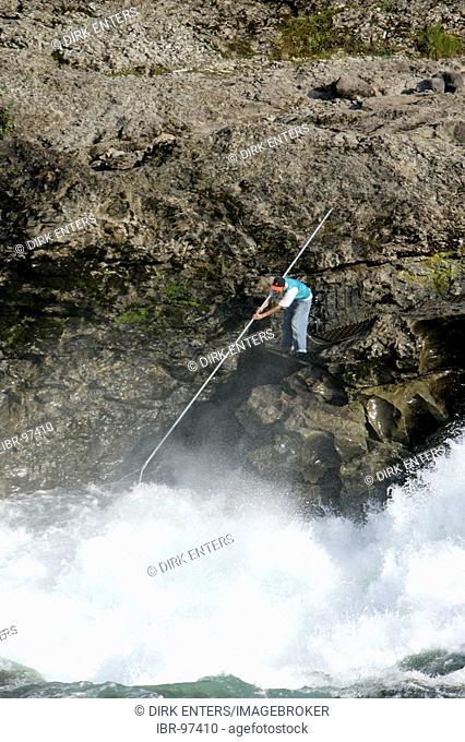 Indian is fishing for salmon with a long stack and a net at Bulkley River in Morristown, British Columbia, Canada