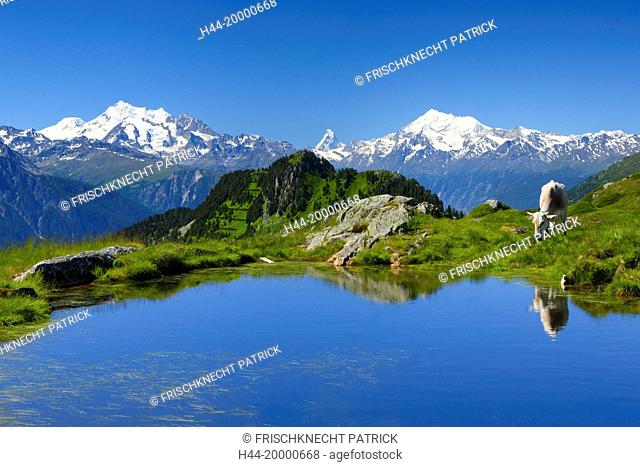 Swiss Alps, Mischabel, Matterhorn, Weisshorn, Valais, Switzerland