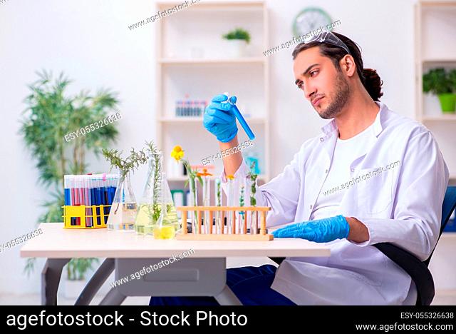 Young chemist working in the lab
