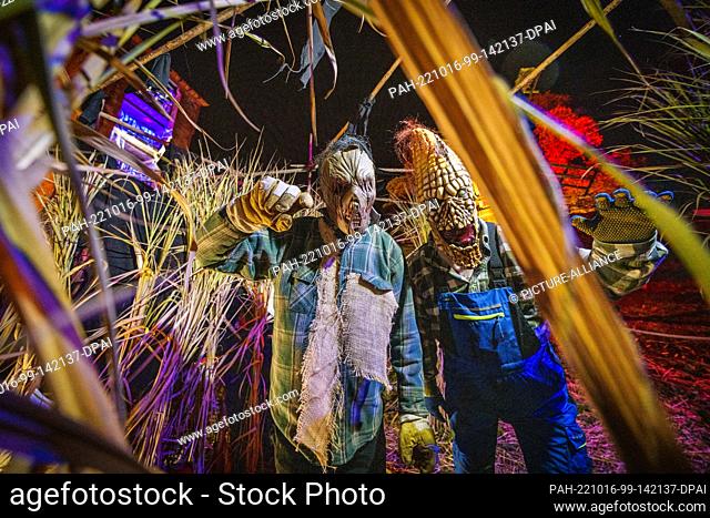 PRODUCTION - 15 October 2022, Hesse, Mühltal: Two creepy scarecrows stand in a corn maze. Frankenstein Castle is colorfully illuminated on the occasion of the...