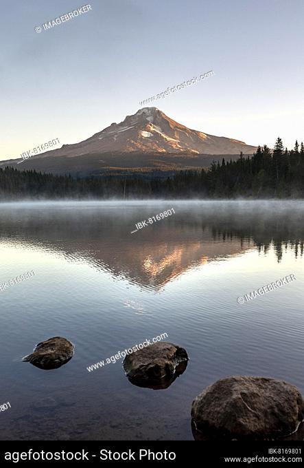 Three stones in the water, reflection of the volcano Mt. Hood in the lake Trillium Lake, at sunrise, Oregon, USA, North America