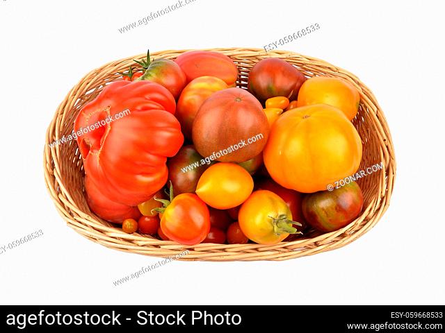 Erntekorb mit Tomaten auf weiss - Harvest basket with tomatoes on white background