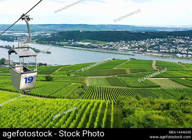 Germany, Hesse, Rheingau, Rüdesheim, cable car, vineyards, part of the UNESCO World Heritage Site Upper Middle Rhine Valley