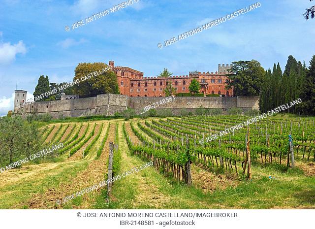 Ricasoli Vineyard, Chianti, Castello di Brolio, Brolio Castle, Siena Province, Tuscany, Italy, Europe