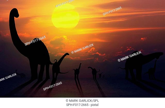 Artwork of a herd of sauropod dinosaurs seen against a sunset (or sunrise). Sauropods, which were universally herbivorous