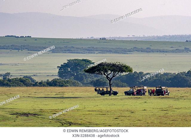 Safari goers gather under a tree with game viewers on the Maasai Mara National Reserve, Kenya