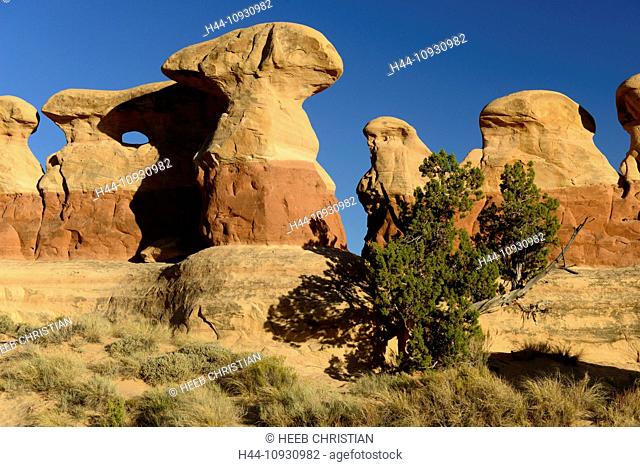 America, USA, United States, Colorado Plateau, Utah, Devils Garden, Grand Staircase, National Monument, sandstone, arch, formation, cliff, juniper, landscape