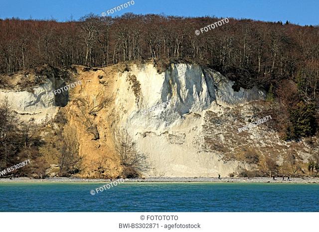 view from the sea at the steep coast with the famous chalk cliffs, a place of fresh erosion in it and some promenaders on the narrow beach below, Germany