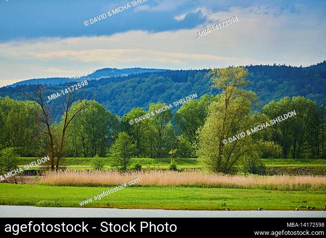 landscape, banks, danube, spring, upper palatinate, bavaria, germany, europe