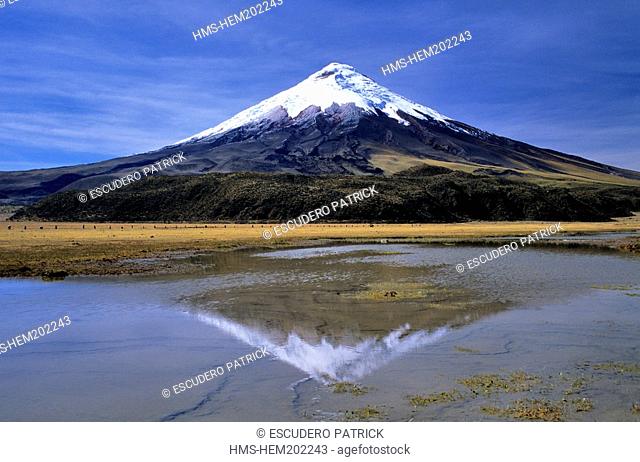 Ecuador, Cotopaxi Province, Cotopaxi National Park, Cotopaxi volcano and its reflect