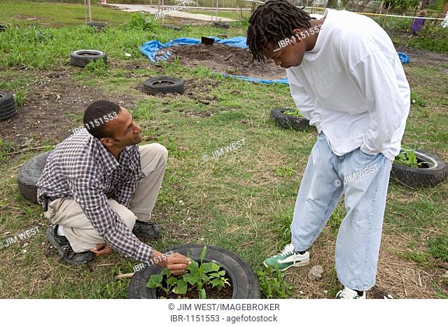 Young people create a community garden in the lower ninth ward, hoping to turn vacant lots devastated by Hurricane Katrina into an urban farm that will provide...