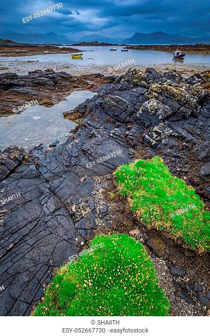Green coastline and black stones at low tide, Scotland