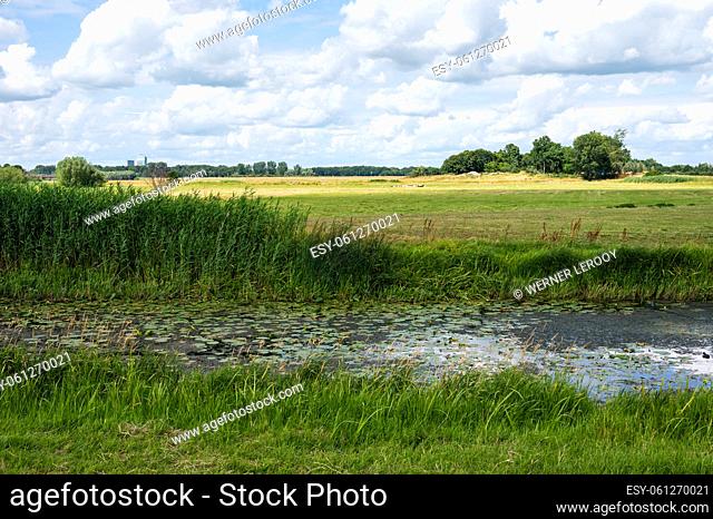 Panoramic view over the green wetlands around the River IJssel, Hattem, The Netherlands
