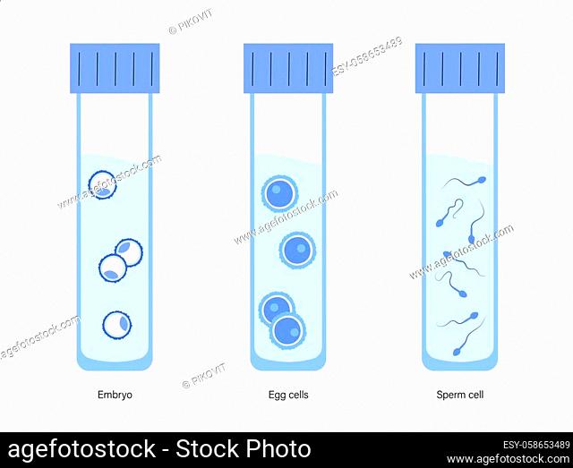Woman and man egg cells, embryo icon in tube. Sperm and ovum. Fertilisation, gynecology and genetic testing. Human sexual reproductive system
